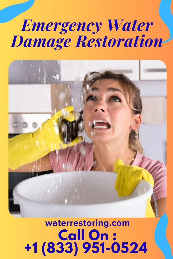 Emergency Water Damage Restoration in Kent City, MI