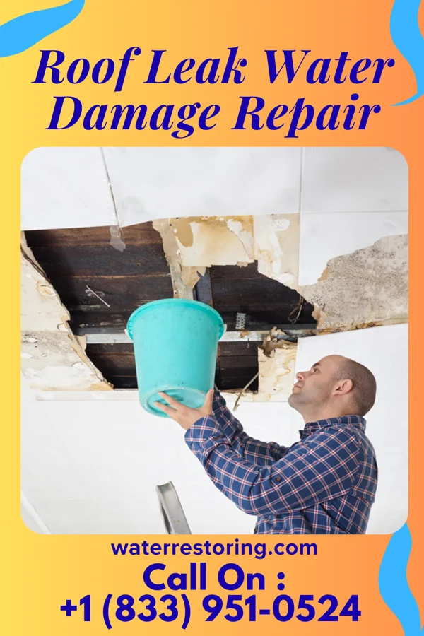 Roof Leak Water Damage Repair in Kent City, MI